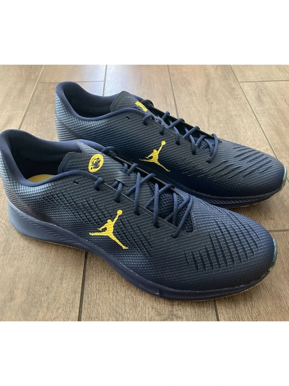 Nike Air Jordan Vapor Edge Turf Cleats 'Michigan Wolverines' CV1670 400 Sz 16